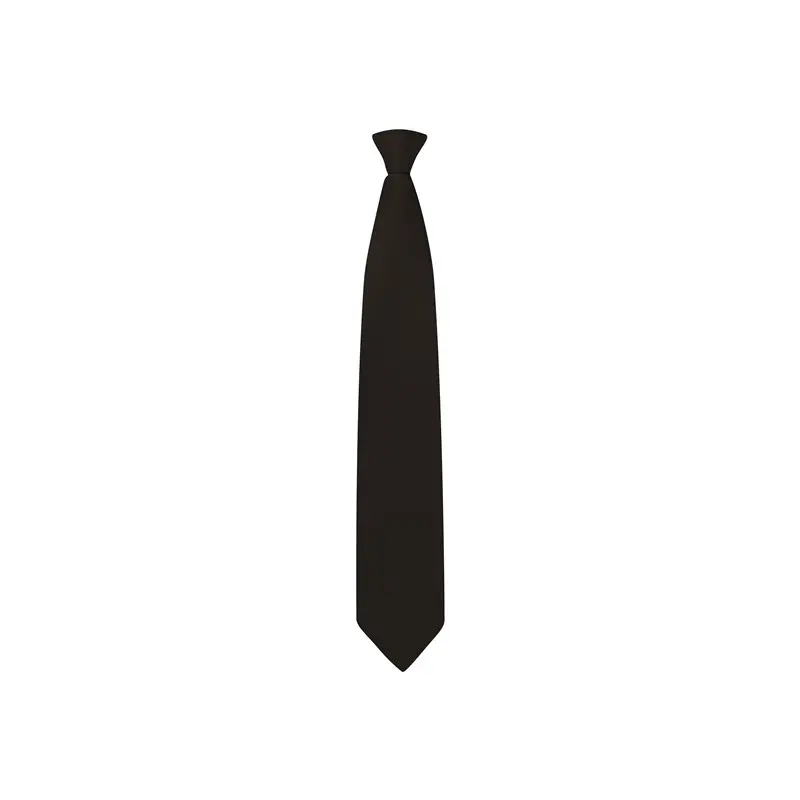 Clip-On Tie 