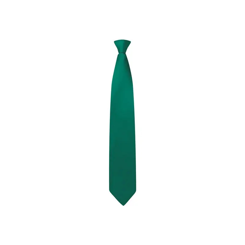 Clip-On Tie 