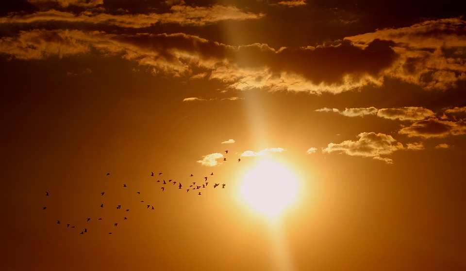 Sun shine with scattered clouds and birds flying in background